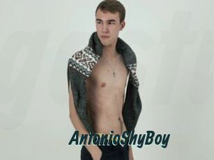 AntonioShyBoy