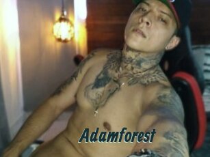 Adamforest