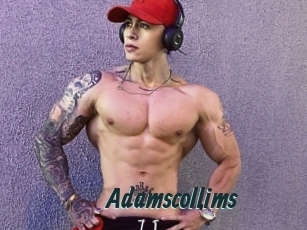 Adamscollims