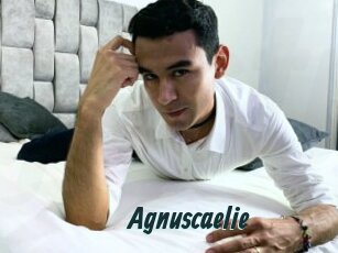 Agnuscaelie