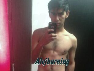 Alejburning