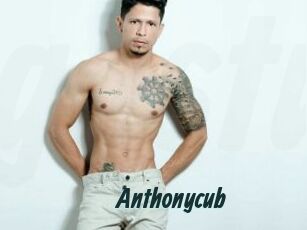 Anthonycub