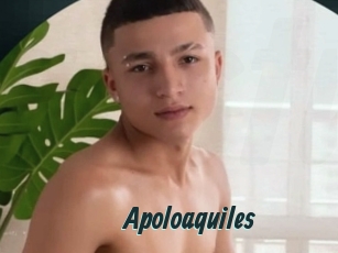 Apoloaquiles