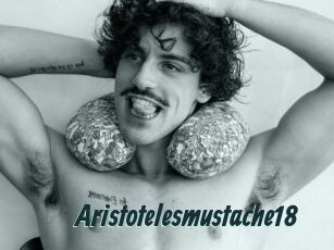 Aristotelesmustache18