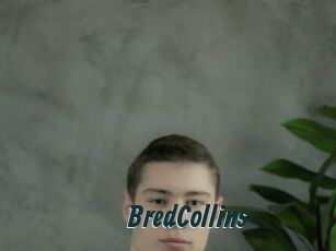 BredCollins