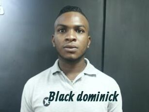 Black_dominick