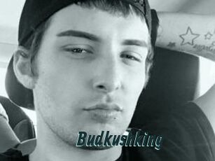 Budkushking