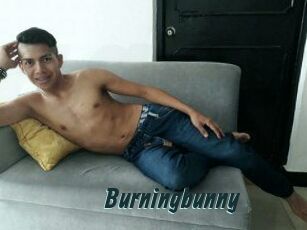 Burningbunny