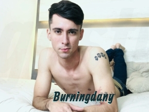 Burningdany