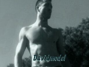 Davidmodel