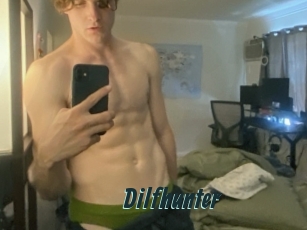 Dilfhunter