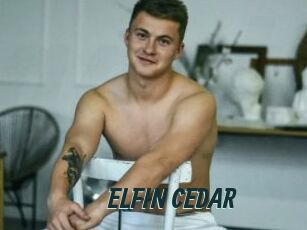 ELFIN_CEDAR