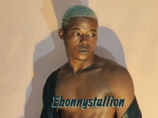 Ebonnystallion