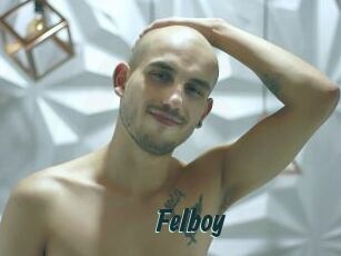 Felboy