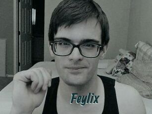 Feylix