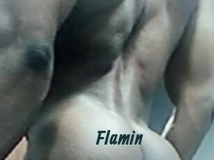 Flamin