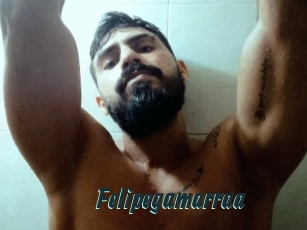 Felipegamarraa