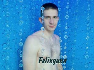 Felixgunn