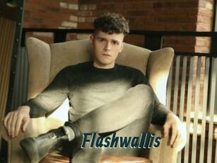 Flashwallis