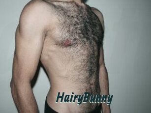 HairyBunny