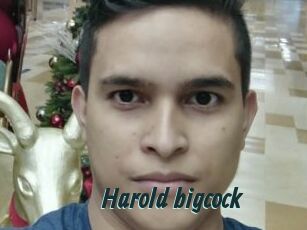 Harold_bigcock