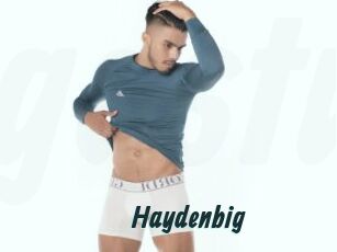 Haydenbig