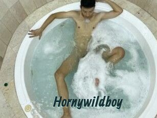 Hornywildboy