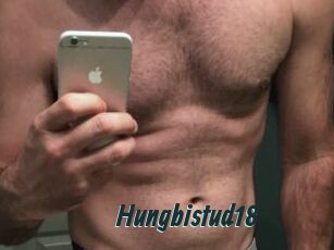 Hungbistud18