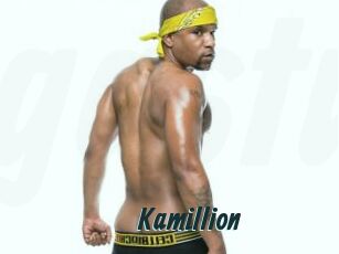 Kamillion