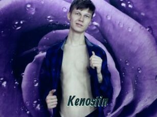 Kenostin