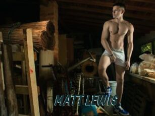 MATT_LEWIS