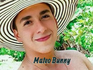 Mateo_Bunny