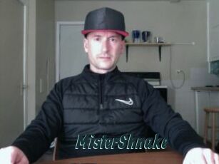 MisterShnake