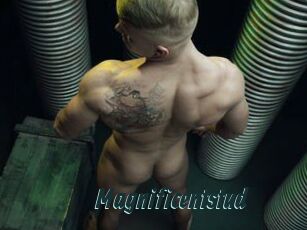 Magnificentstud