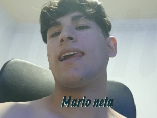 Mario_neta