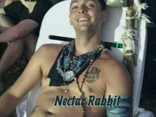 Nectar_Rabbit