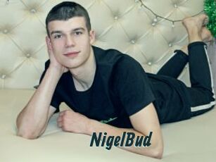 NigelBud