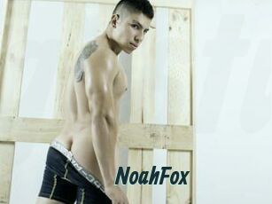 NoahFox