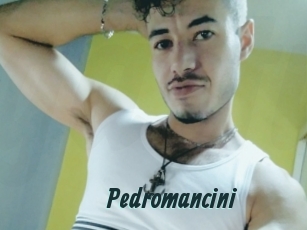 Pedromancini