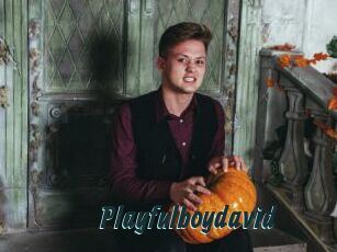 Playfulboydavid