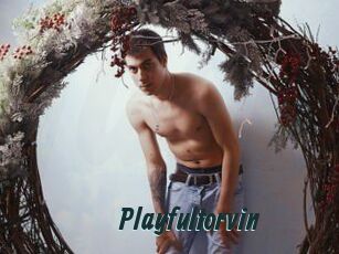 Playfultorvin