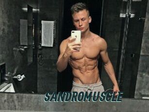 SANDRO_MUSCLE