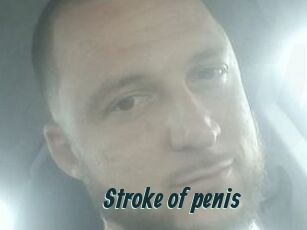 Stroke_of_penis