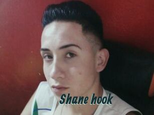 Shane_hook