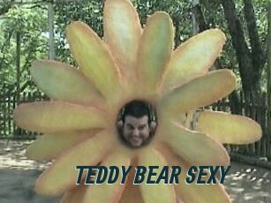 TEDDY_BEAR_SEXY