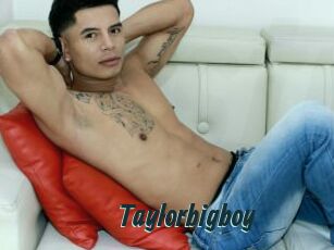 Taylorbigboy