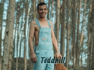 Teddhill