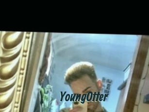 YoungOtter