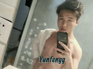 Yunfengg