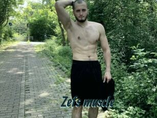 Zefs_muscle